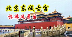欧美鸡巴骚逼互相挨操另类唯美经典精品中国北京-东城古宫旅游风景区